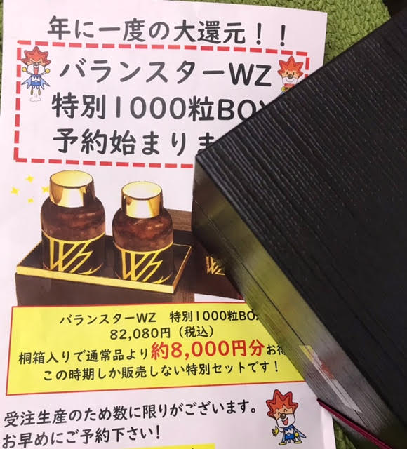 バランスターWZ